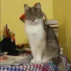 Отзыв от Римма Королева